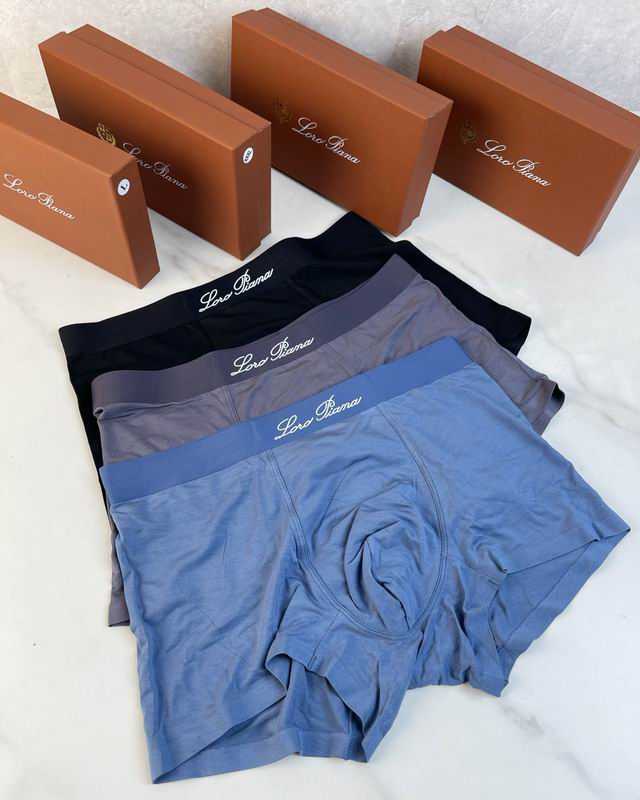 LP boxer L-3XL 05